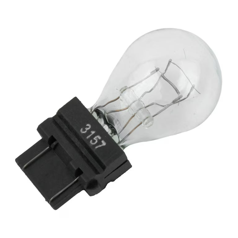 3157 (Clear) Mini Bulb (10 Bulbs)
